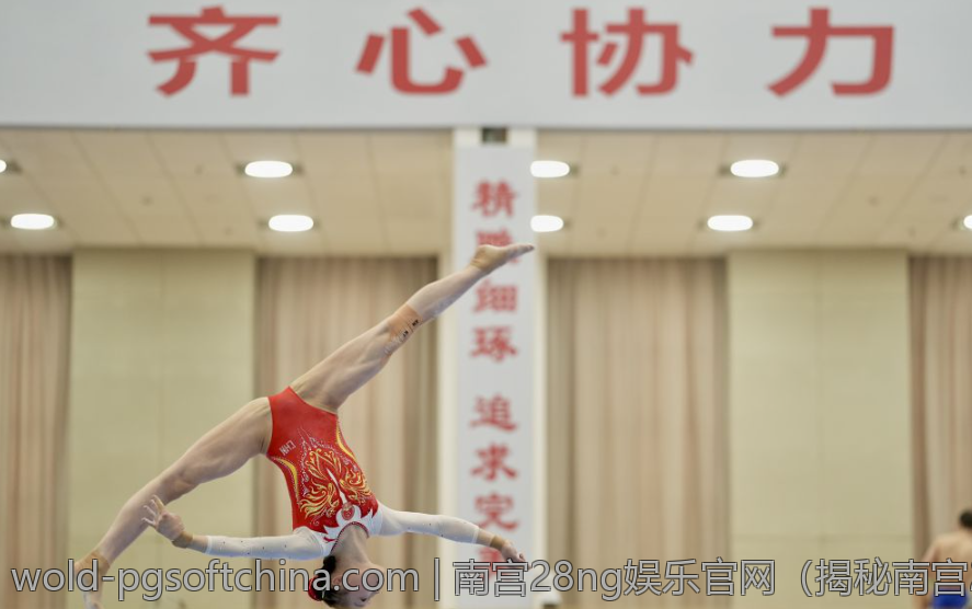 南宫28ng娱乐官网（揭秘南宫28ng娱乐官网的操作技巧）